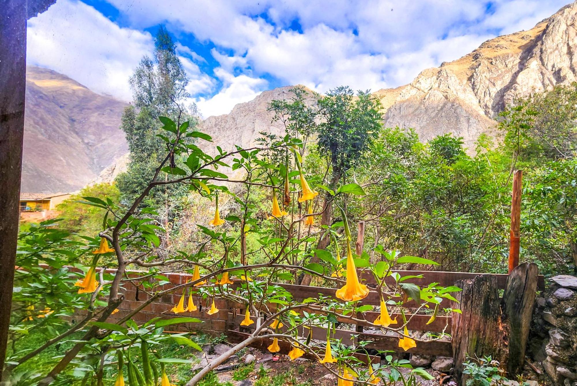 Peru Quechua'S Lodge Ollantaytambo Kültér fotó