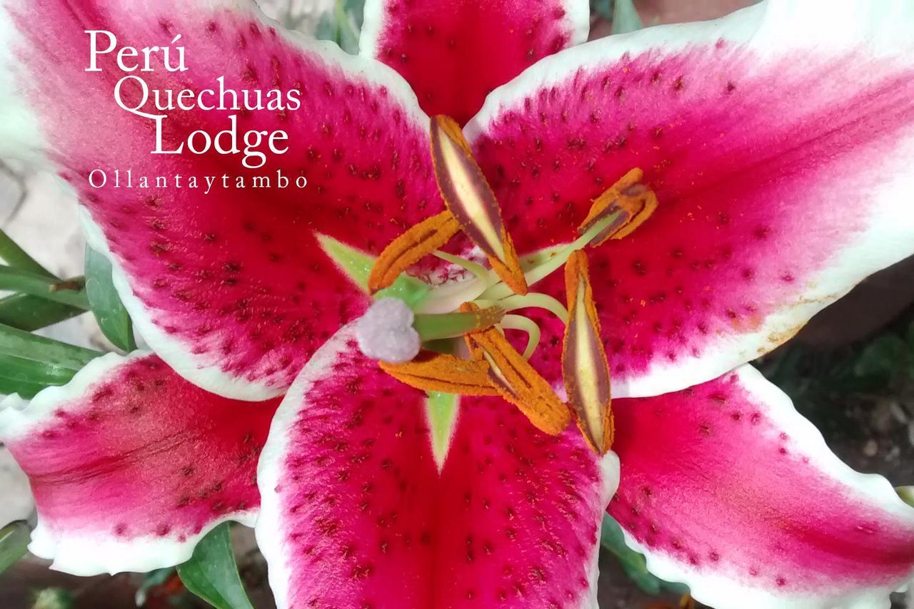 Peru Quechua'S Lodge Ollantaytambo Kültér fotó